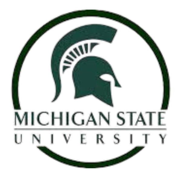 Michigan State University